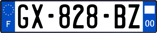 GX-828-BZ