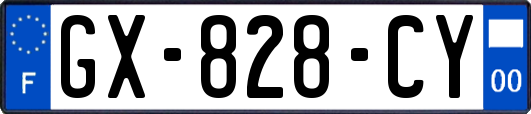 GX-828-CY