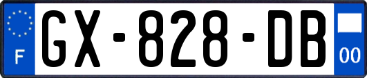 GX-828-DB