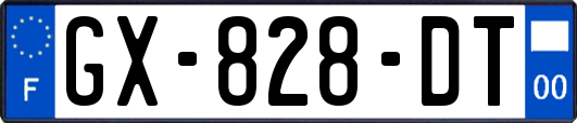 GX-828-DT
