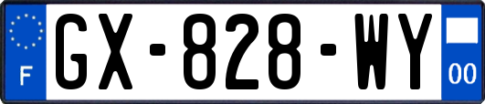 GX-828-WY