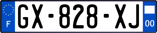 GX-828-XJ