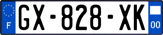 GX-828-XK