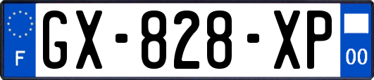GX-828-XP