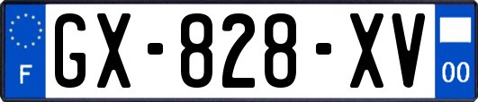 GX-828-XV