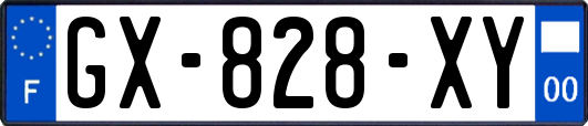 GX-828-XY