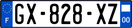 GX-828-XZ