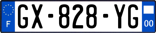 GX-828-YG