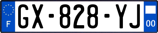 GX-828-YJ