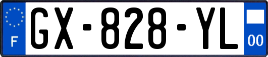 GX-828-YL