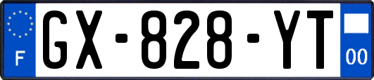 GX-828-YT