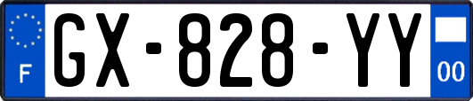 GX-828-YY