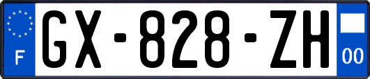 GX-828-ZH