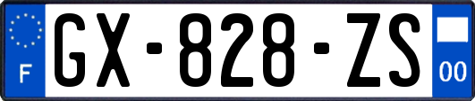 GX-828-ZS