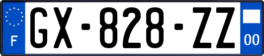 GX-828-ZZ