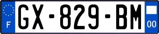 GX-829-BM