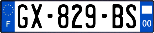 GX-829-BS