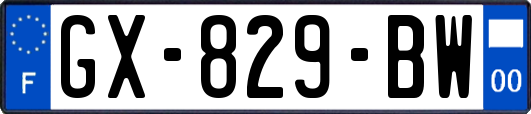 GX-829-BW