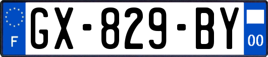 GX-829-BY