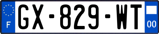 GX-829-WT
