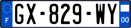 GX-829-WY