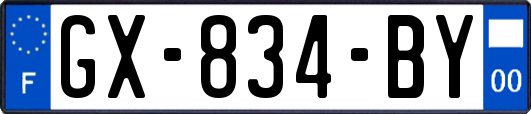 GX-834-BY