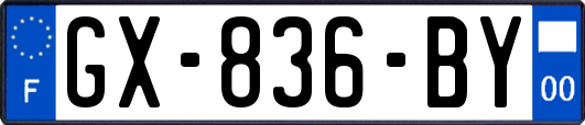 GX-836-BY