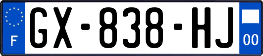 GX-838-HJ