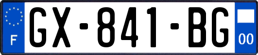 GX-841-BG