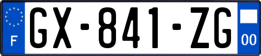 GX-841-ZG