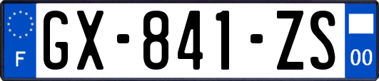 GX-841-ZS