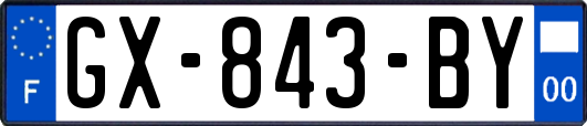 GX-843-BY