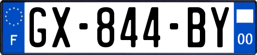 GX-844-BY