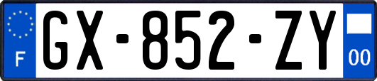 GX-852-ZY