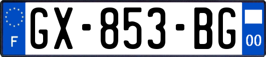 GX-853-BG