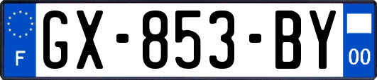 GX-853-BY