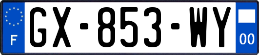 GX-853-WY