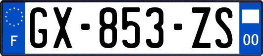 GX-853-ZS