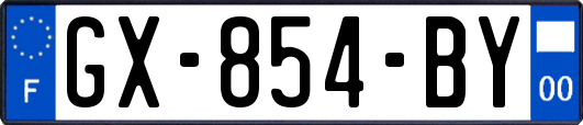 GX-854-BY