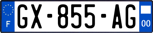 GX-855-AG