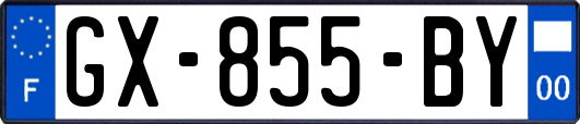 GX-855-BY