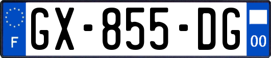 GX-855-DG