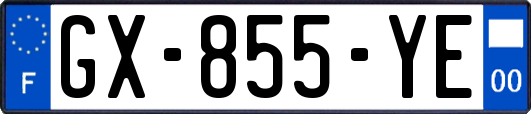 GX-855-YE
