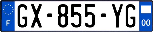 GX-855-YG