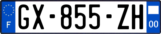 GX-855-ZH