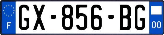 GX-856-BG
