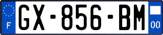 GX-856-BM