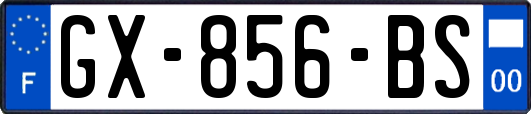 GX-856-BS