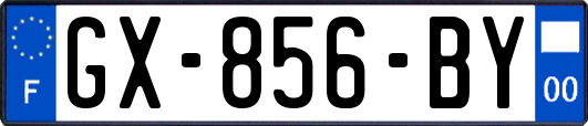 GX-856-BY