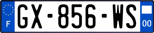 GX-856-WS